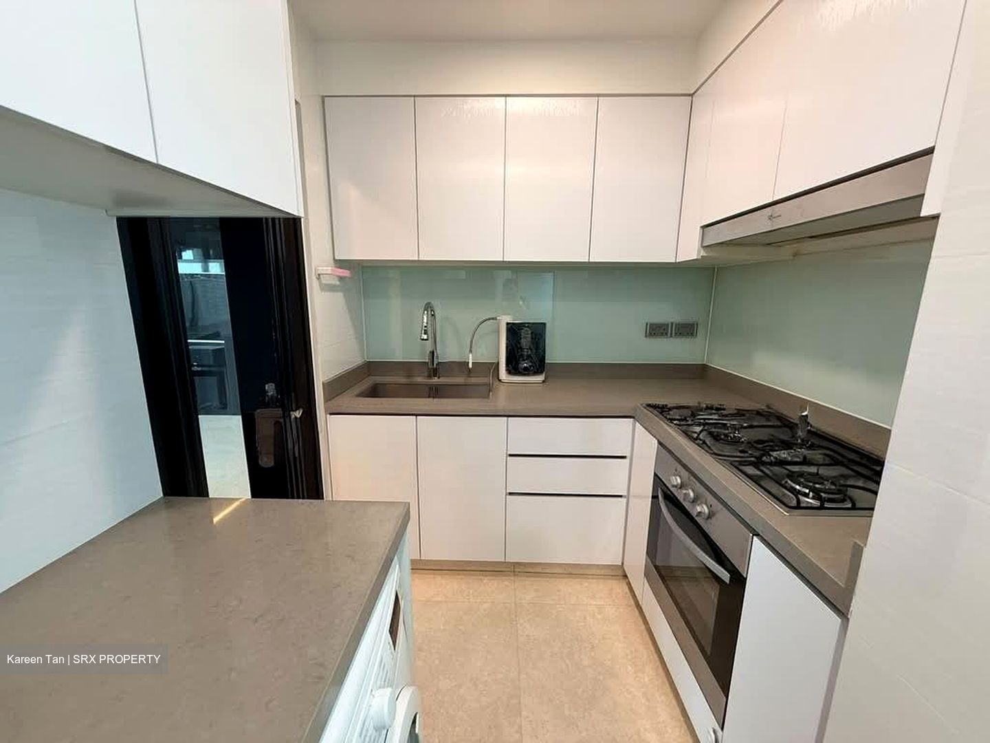 Eight Riversuites (D12), Condominium #599756521